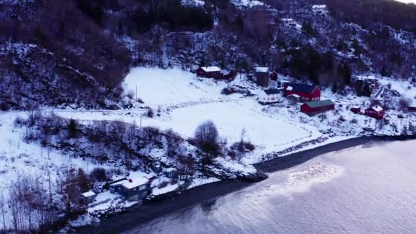 Vista Aérea Cabines Nevadas Encosta Inverno Com Mar Calmo Noruega — Vídeo de Stock