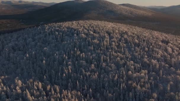 カナダのケベック州南部の日没で冬の間に山を越えて雪の茂る木 空中プルバック — ストック動画