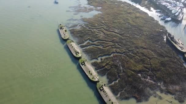 Utsikt Över Medway Solig Dag Fåglarna Flockades Flygningen — Stockvideo