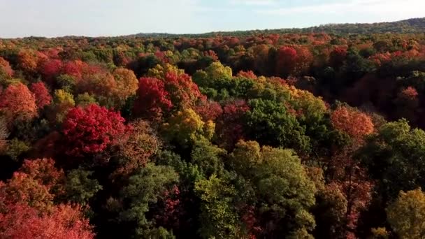 Fall Mountain Bunte Bäume Szene Drohnenschuss — Stockvideo