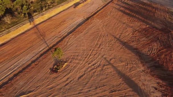 Orbite Aérienne Descendante Autour Arbre Dans Champ Déboisé Punta Del — Video