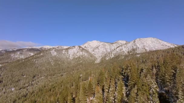 Aléjese Cima Montaña Sobre Los Abetos Douglas Lake Tahoe Nevada — Vídeos de Stock