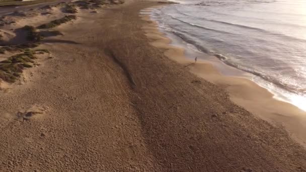 Aereo Drone Colpo Persona Rilassante Sulla Spiaggia Sabbia Guardando Onde — Video Stock