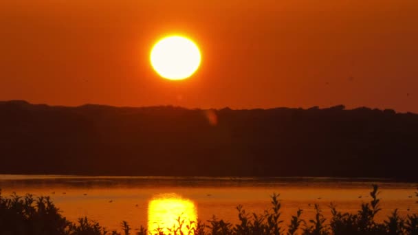 オランダのテセル島を鳥が飛び回る湖の上に沈むオレンジ色の太陽 — ストック動画