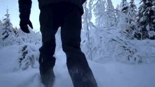 雪に覆われた木を通って走る人を追いかけると たくさんの雪が降ります — ストック動画