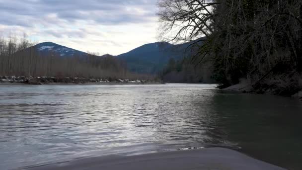 Sección Tranquila Del Río Skagit Estado Washington Frío Día Invierno — Vídeos de Stock