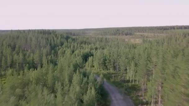 Filmati Dei Droni Una Polaris Rzr Nella Foresta — Video Stock