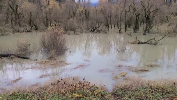 Floodwater Muddy Field Autumn Popkum Village Canada Medium Shot — Stock Video