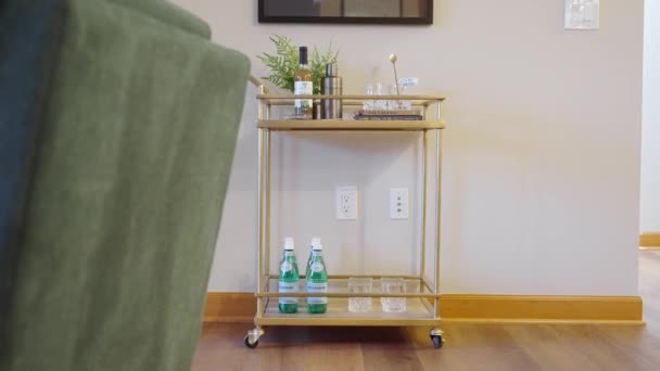 Alcohol Beverage Cart Living Room — ストック動画