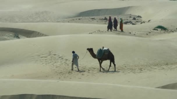 在俾路支省 身穿库尔塔制服的男士们带领着骆驼穿越沙漠景观 慢动作 — 图库视频影像