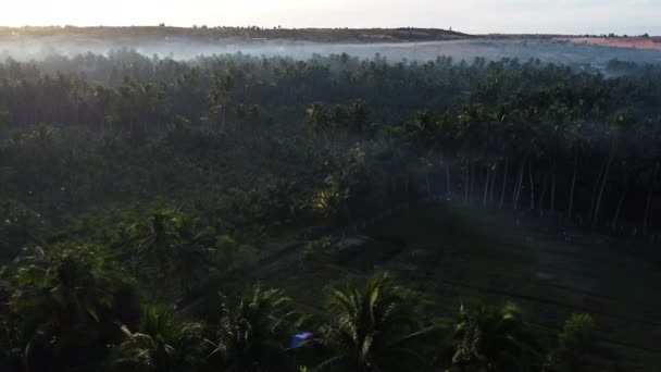 Imágenes Cinematográficas Aéreas Niebla Mañana Vietnam Paisaje Clásico Con Bosque — Vídeos de Stock