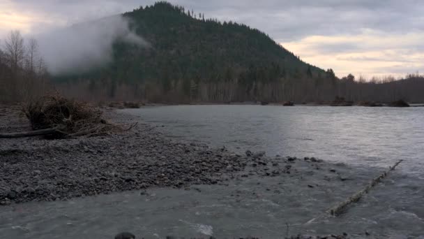 Niski Ranek Mgła Częściowo Ukrywa Drzewo Pokryte Wzgórzem Widokiem Nooksack — Wideo stockowe