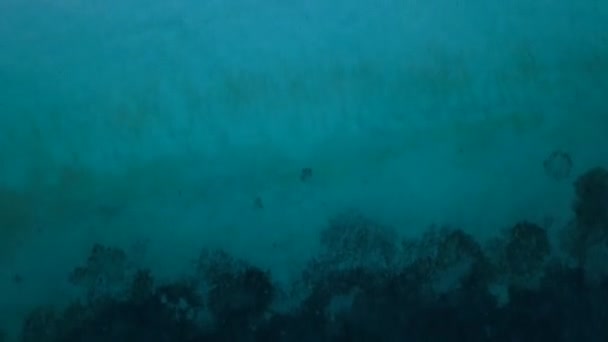 Visão Perfeita Olho Pássaro Visão Superior Drone Shot Moving Sea — Vídeo de Stock