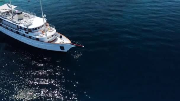 Toeristen Zwemmen Blauwe Oceaan Rond Passagiersboot Zomer Paklinski Eilanden Hvar — Stockvideo