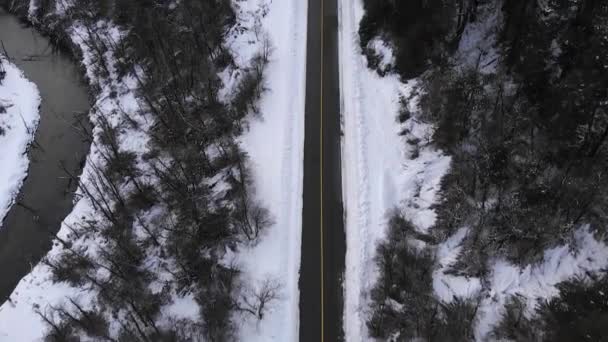 Una Ruta Vacía Través Bosques Nevados Las Montañas Inclinado Hacia — Vídeos de Stock