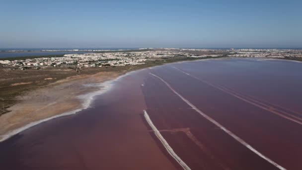 Las Salinas Pembe Gölü Torrevieja Şehri Akdeniz Havadan Görünüşü Alicante — Stok video