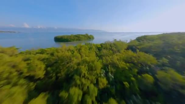 Fpv Playa Luci Landia Del Norte Barahona República Dominicana Drone — Vídeos de Stock