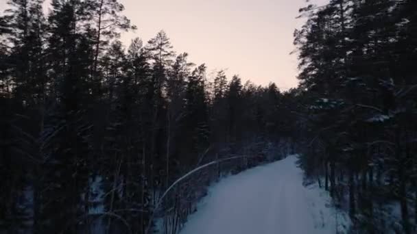 Avante Escalando Drone Câmera Vista Estrada Inverno Acima Floresta Horário — Vídeo de Stock