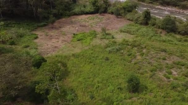 Luchtfoto Van Toeristen Ziplinen Een Bos Een Rivier Pozuzo Peru — Stockvideo