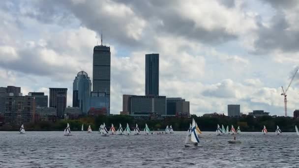 Spousta Malých Plachetnic Charles River Cloudy Boston Stále Zastřelen — Stock video