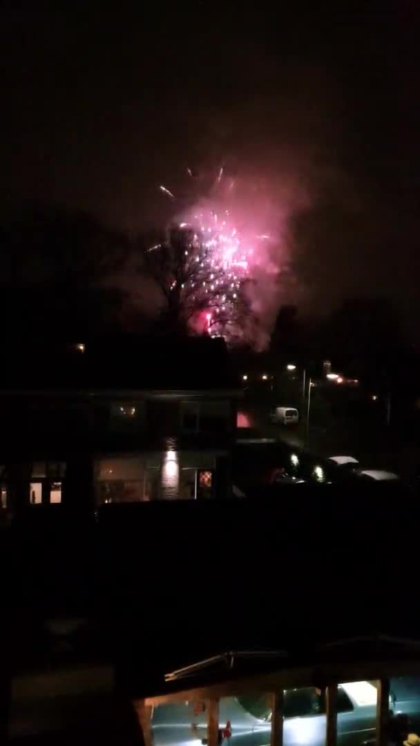 Fuegos Artificiales Que Explotan Cielo Junto Edificio Por Noche Vídeo — Vídeos de Stock