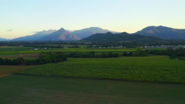 Campos Agrícolas Montanhas Cênicas Cairns Queensland Austrália Tiro Drone Aéreo — Vídeo de Stock