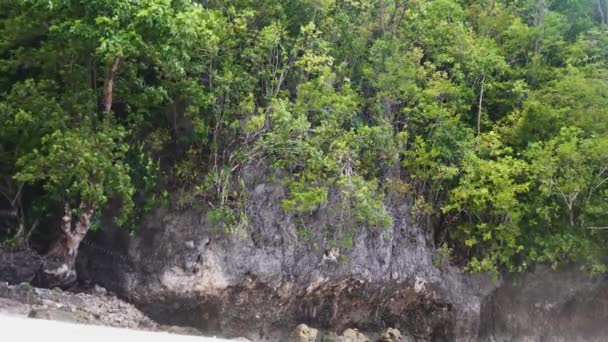 Skalisty Krajobraz Gęstą Roślinnością Tropikalnej Plaży Południowym Leyte Filipiny Statyczny — Wideo stockowe