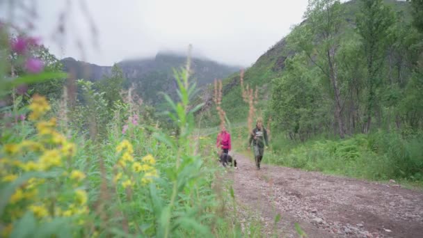 Par Vandrare Med Hund Promenad Grusvägen Till Segla Berg Med — Stockvideo