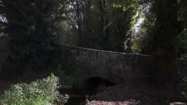 Historic Stone Roman Bridge Portugal — Stock Video