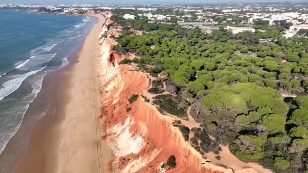 Coastal Cliffs Nature Algarve Portugal Stabilized Droneview — Stock Video