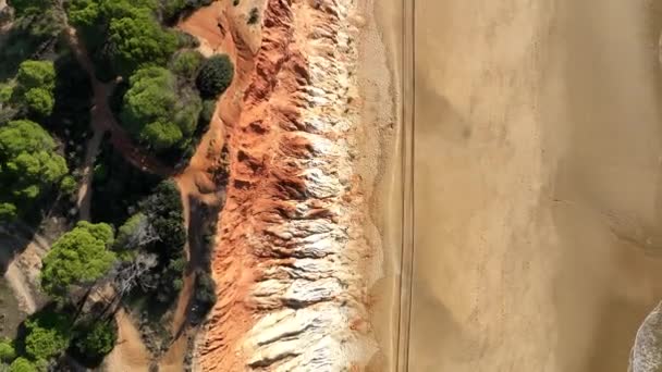 Coastal Cliffs Nature Algarve Portugal Stabilized Droneview — Stock Video