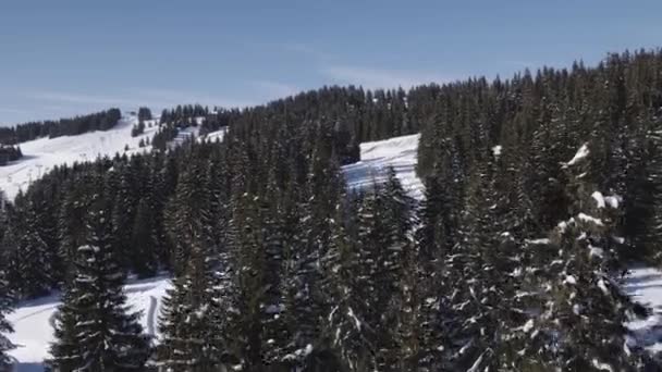 Stijgende Lucht Drone Van Besneeuwde Bomen Heuveltop — Stockvideo