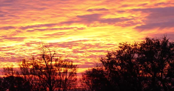 Statický Záběr Krásného Oranžového Západu Slunce Poblíž Brownwoodu Texas — Stock video