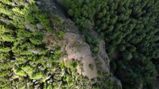Aerial Top View Pine Tree Forest Rock Bound Geologic Formation — ストック動画