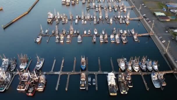 漁師のボートの帆のボートと豪華なヨットが港に係留された港の空中ミニマリストの映像 ウェストポート オレゴンのドローンビュー — ストック動画