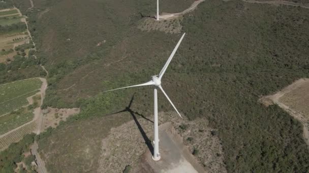 Orbites Aériennes Turbine Éolienne Tournant Pas Près Des Vignobles Français — Video