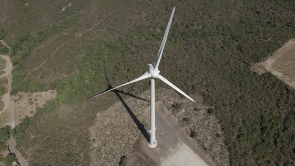 Zicht Vanuit Lucht Enkelvoudige Windturbine Die Hoog Boven Lage Bomen — Stockvideo