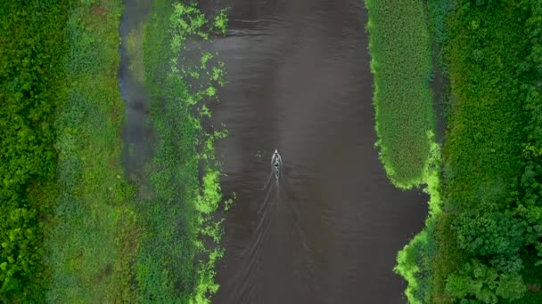 Boat Beautiful Amazon River Traveling Lush Rainforest Jungle Aerial — Stock Video