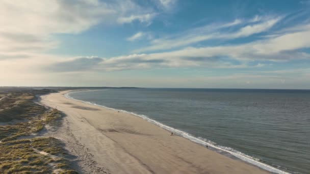 Hosszú Magas Légi Felvétel Nyugodt Tengerről Majdnem Üres Strand Ösvények — Stock videók