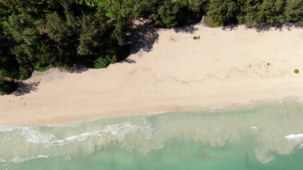 在热带夏威夷海滩上从高处下降 同时在森林树木附近的沙滩上出现小浪花 — 图库视频影像