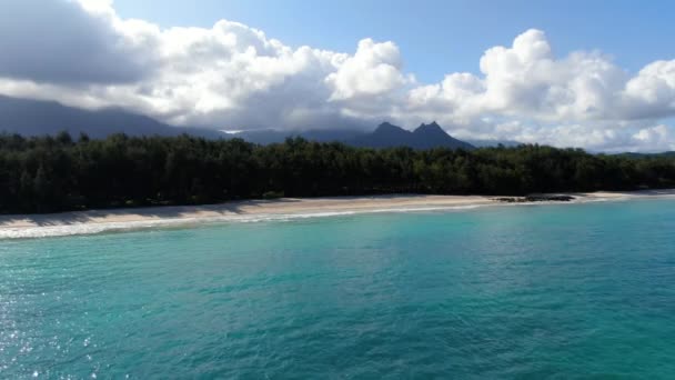 Långsamt Flyger Bort Från Fridfull Tropisk Hawaiian Strand Omgiven Djungel — Stockvideo