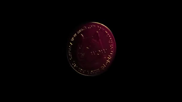 Slow Motion Crypto Doge Gold Coin Spin Black Background Green — Stockvideo