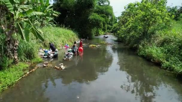 在非洲圣多美的阳光下 空中无人驾驶飞机看到妇女在河里洗衣服 — 图库视频影像