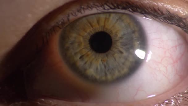 Ojo Humano Cerca Ojo Detallado Con Pupila Iris Caucásico — Vídeo de stock