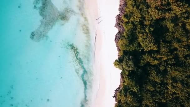 Fantástica Vista Aérea Pájaro Vista Superior Del Avión Tripulado Cámara — Vídeo de stock