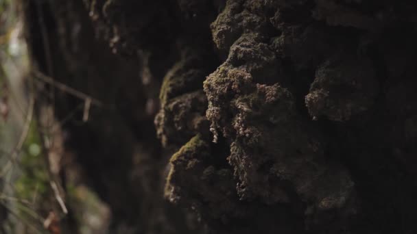 Крупный План Падающих Капель Воды Скале Внутри Пещеры Каджеронские Пещеры — стоковое видео