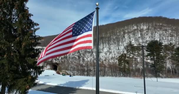 Ondas Bandeira Americana Brisa Inverno Montanha Neve Cena Pinheiro Floresta — Vídeo de Stock