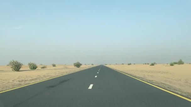 아스팔트 도로를 달리고 Pov 이제한되어 조하고 모래투성이 아랍에미리트 두바이 — 비디오