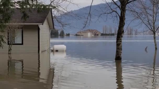 Houses Trees Submerged Deep Floodwater Caused Heavy Rainstorm Abbotsford Canada — Stock Video