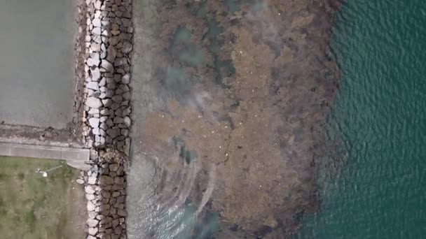 Aerial Topdown Rocky Jetty Grzybami Wyspie John Singapurze — Wideo stockowe